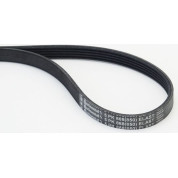 ContiTech | Keilrippenriemen | 5PK868 ELAST