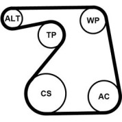 ContiTech | Keilrippenriemensatz | 6PK1360K1