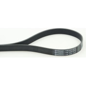ContiTech | Keilrippenriemen | 7PK1570