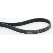 ContiTech | Keilrippenriemen | 6PK1100