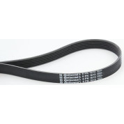 ContiTech | Keilrippenriemen | 6PK1613