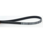 ContiTech | Keilrippenriemen | 4PK922 ELAST