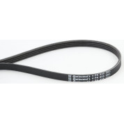 ContiTech | Keilrippenriemen | 4PK855