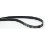 ContiTech | Keilrippenriemen | 4PK925