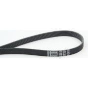 ContiTech | Keilrippenriemen | 7PK2061