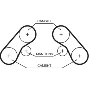 Gates | Zahnriemen | 5576XS