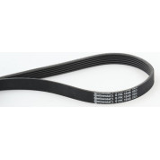 ContiTech | Keilrippenriemen | 6PK1548