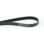 ContiTech | Keilrippenriemen | 6PK1005