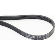 ContiTech | Keilrippenriemen | 5PK1334