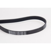 ContiTech | Keilrippenriemen | 5PK1300