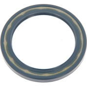 Corteco | Dichtring | 12001709B