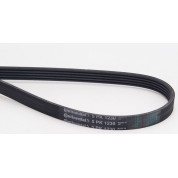 ContiTech | Keilrippenriemen | 5PK1230