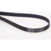 ContiTech | Keilrippenriemen | 6PK2260