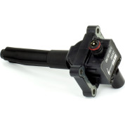 BorgWarner (BERU) | Zündspule | ZS340