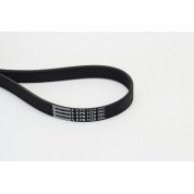 ContiTech | Keilrippenriemen | 6PK1125