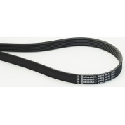 ContiTech | Keilrippenriemen | 6PK1642