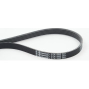 ContiTech | Keilrippenriemen | 5PK1592