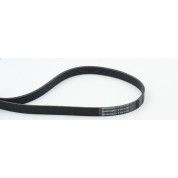 ContiTech | Keilrippenriemen | 6PK1080