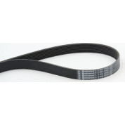 ContiTech | Keilrippenriemen | 7PK1104