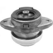 Corteco | Lagerung, Motor | 80000042