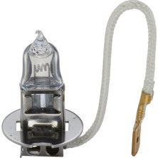 BOSCH | Glühlampe, Hauptscheinwerfer | 1 987 302 431