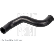 Blue Print | Kühlerschlauch | ADBP930004