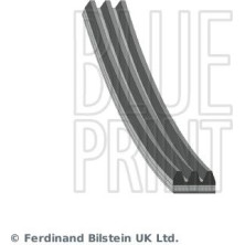 Blue Print | Keilrippenriemen | AD03R785