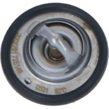 NRF | Thermostat, Kühlmittel | 725146
