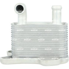 NRF | Ölkühler, Automatikgetriebe | 31342