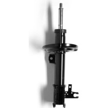 Monroe | Stoßdämpfer | G8001