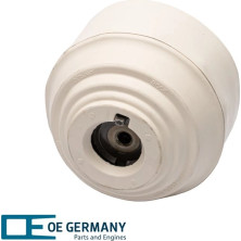 OE Germany | Lagerung, Motor | 800354