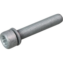 Metzger | Schraube, Bremssattel | 6250007S