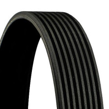 ContiTech | Keilrippenriemen | 8PK2585