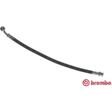 Brembo | Bremsschlauch | T 24 123