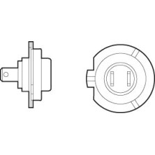 Valeo | Glühlampe, Fernscheinwerfer | 032519