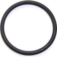 Elring | Dichtung, Thermostat | 098.418
