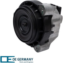 OE Germany | Lagerung, Motor | 801384