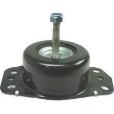 Corteco | Lagerung, Motor | 80001522