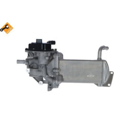 NRF | AGR-Modul | mit AGR Ventil | 48210