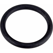 Metzger Dichtring 2430156