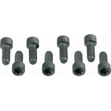 Sachs Schraubensatz, Schwungrad 1874 000 031 Sachs Schraubensatz, Schwungrad 1874 000 031