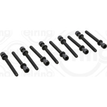 Elring Zylinderkopfschraubensatz 302.250