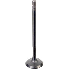 FEBI BILSTEIN 176538 Einlassventil FEBI BILSTEIN 176538 Einlassventil