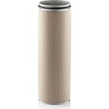 Mann-Filter Sekundärluftfilter CF 2100