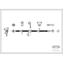Corteco | Bremsschlauch | 19032901