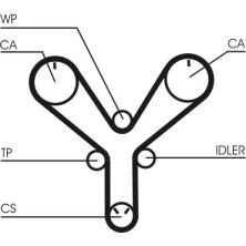 ContiTech | Zahnriemen | CT1147