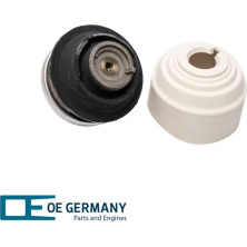 OE Germany | Lagerung, Motor | 800111