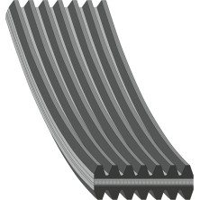 febi bilstein | Keilrippenriemen | 34463