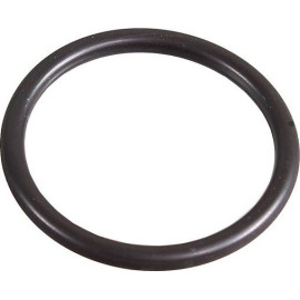 Dichtring 2430034