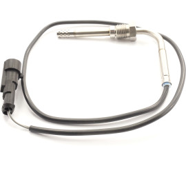 Sensor, Abgastemperatur 9 8156 1